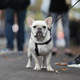 Image: AP